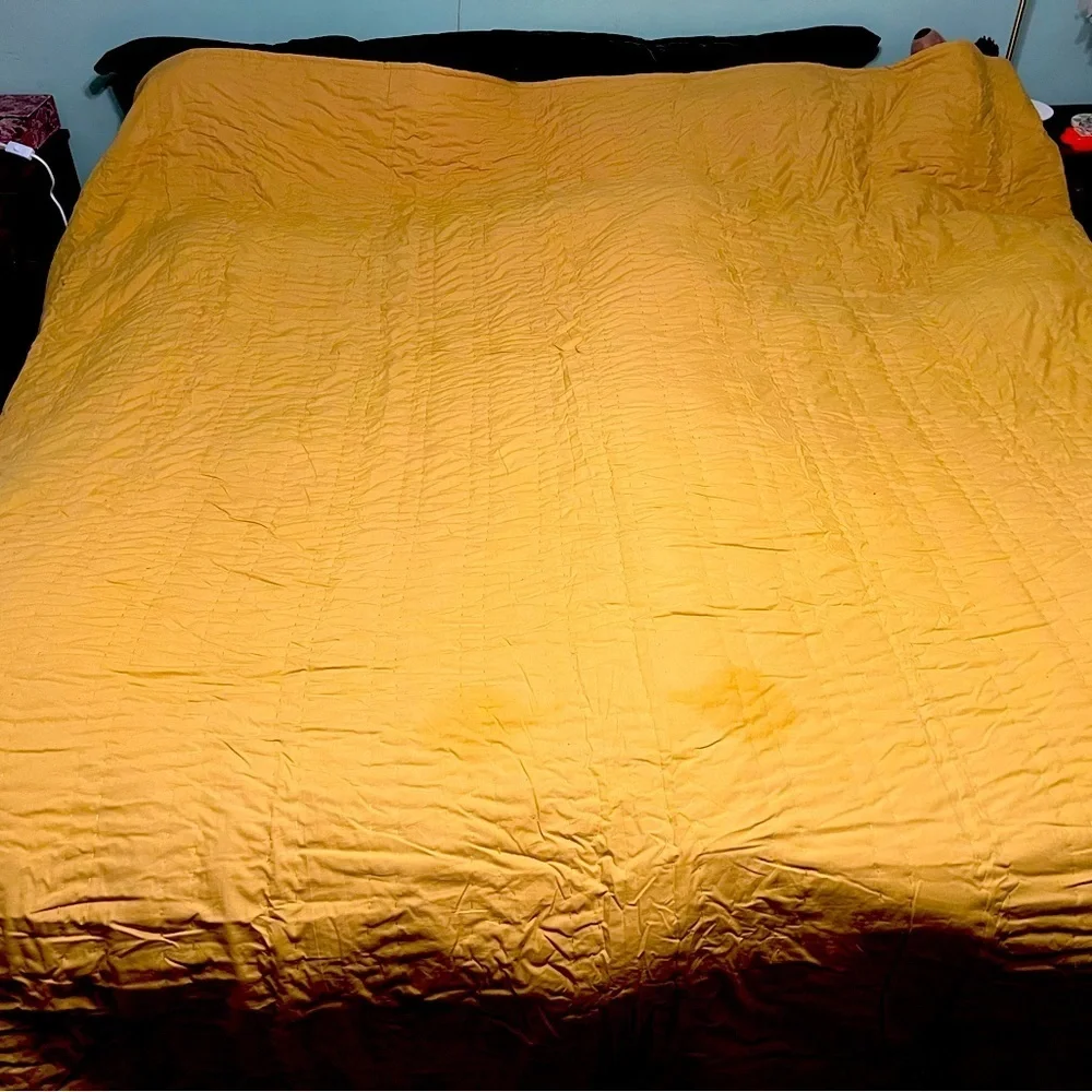 Anthropologie Paulette Chenille Quilt Queen New